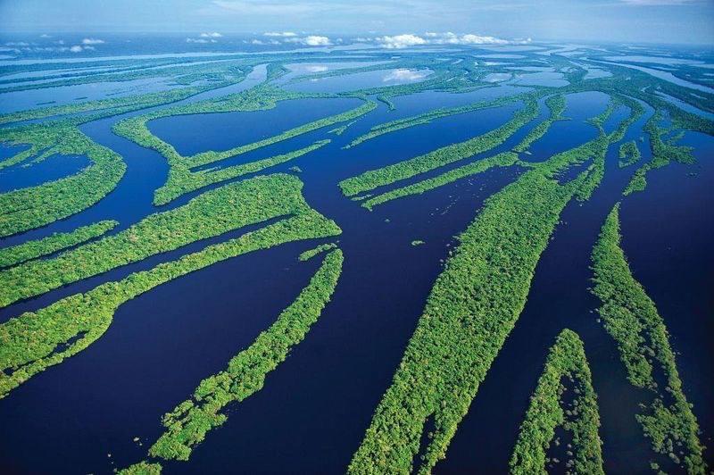 Amazônia ParkSuítes Novo Airão Exterior foto